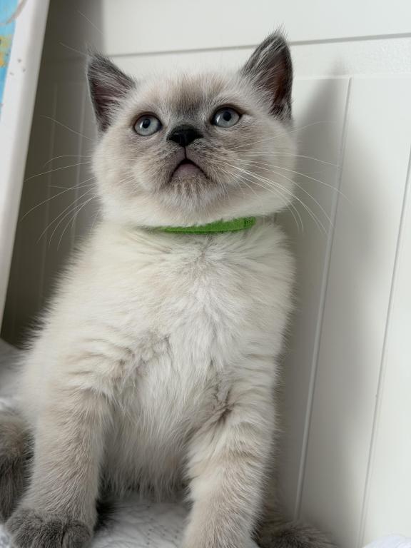 Casper photo 14