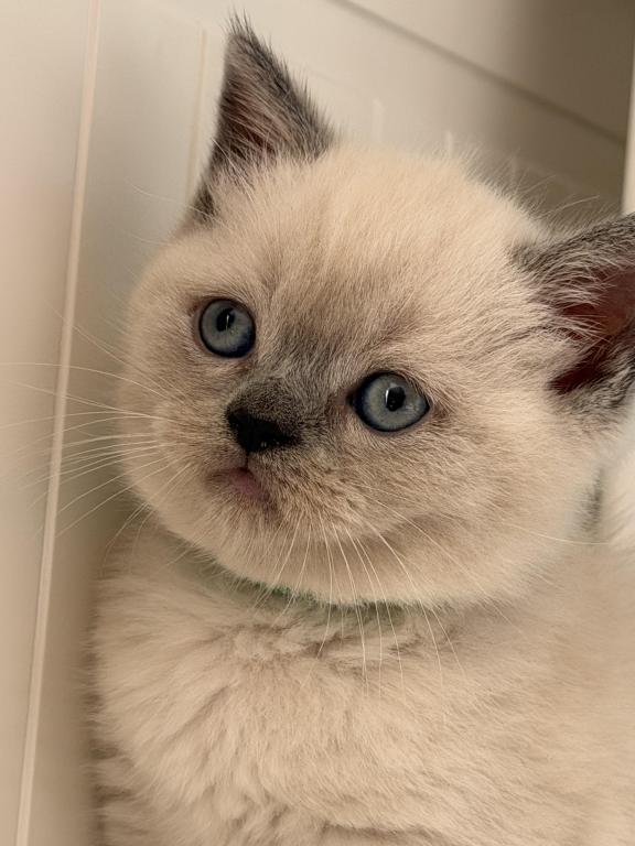 Casper photo 28