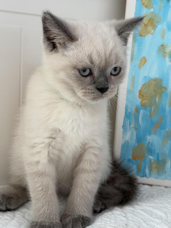 Casper photo 7