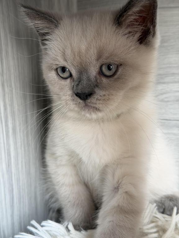 Casper photo 9