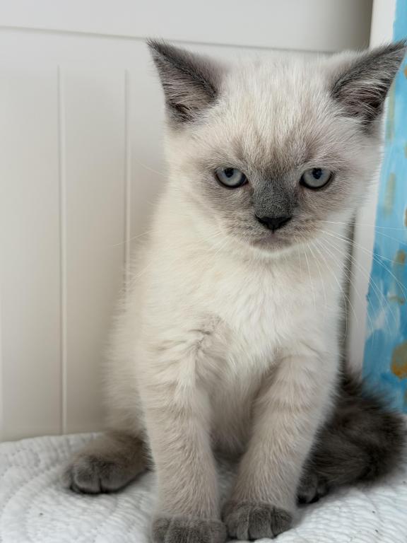 Casper photo 8