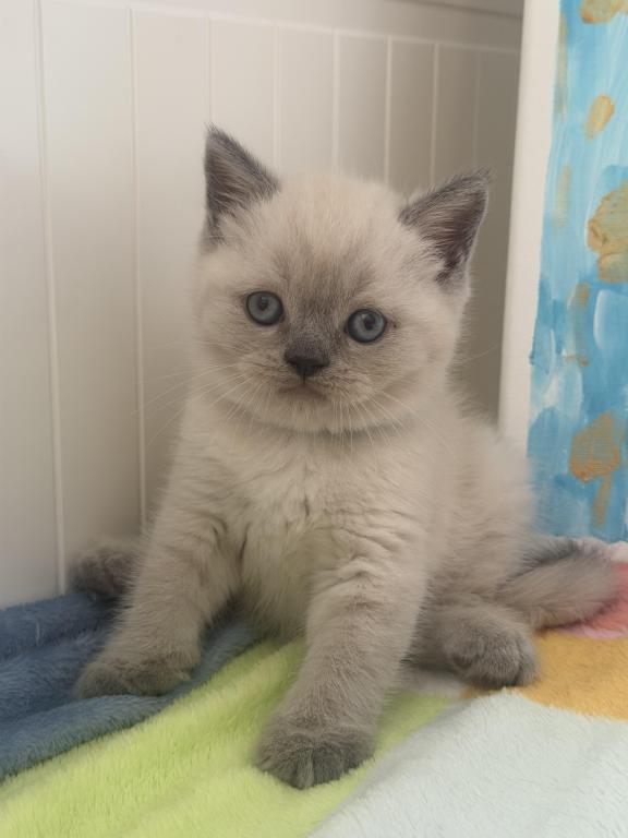 Casper photo 33