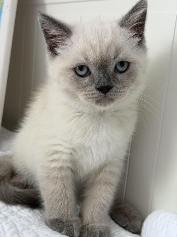 Casper photo 19
