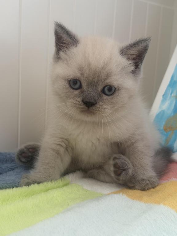 Casper photo 34