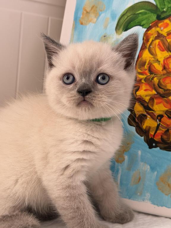 Casper photo 21