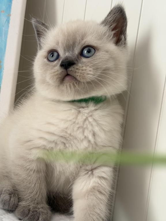 Casper photo 24