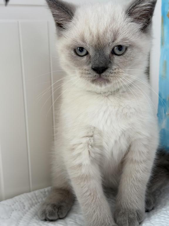 Casper photo 1