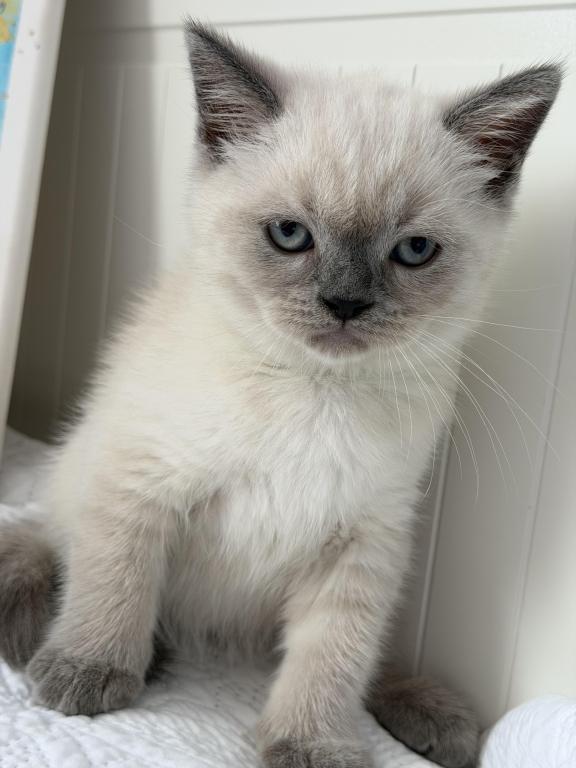 Casper photo 20