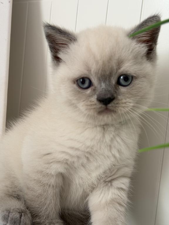 Casper photo 23