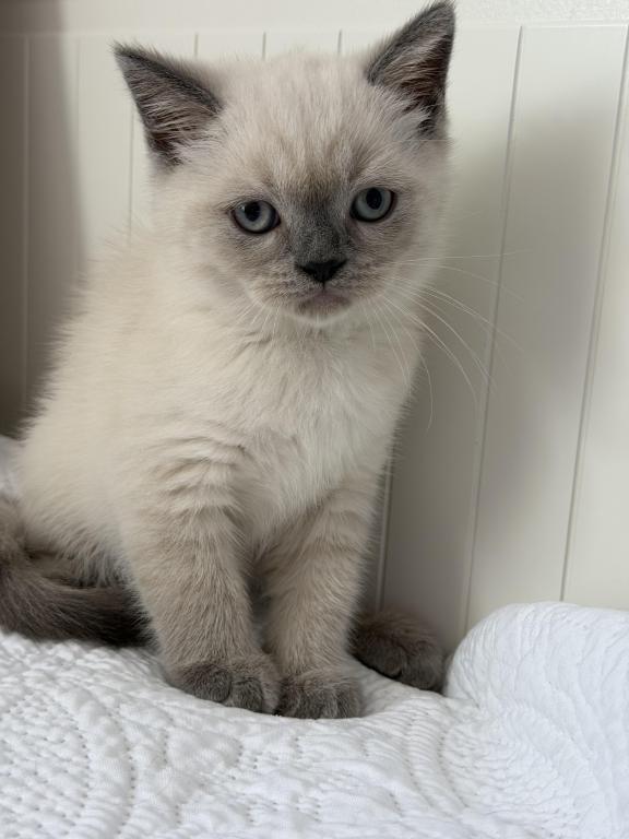 Casper photo 18