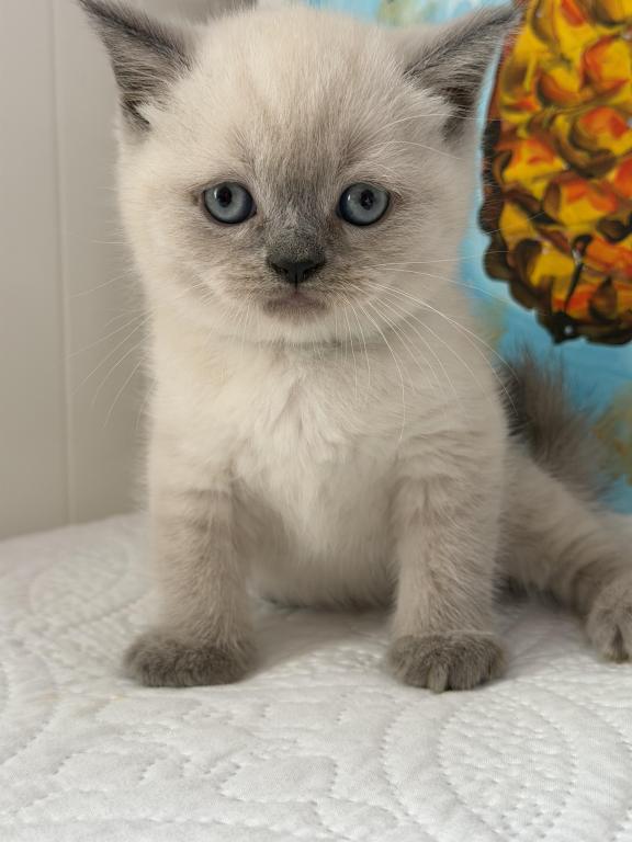 Casper photo 25
