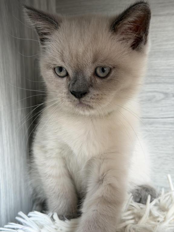 Casper photo 11