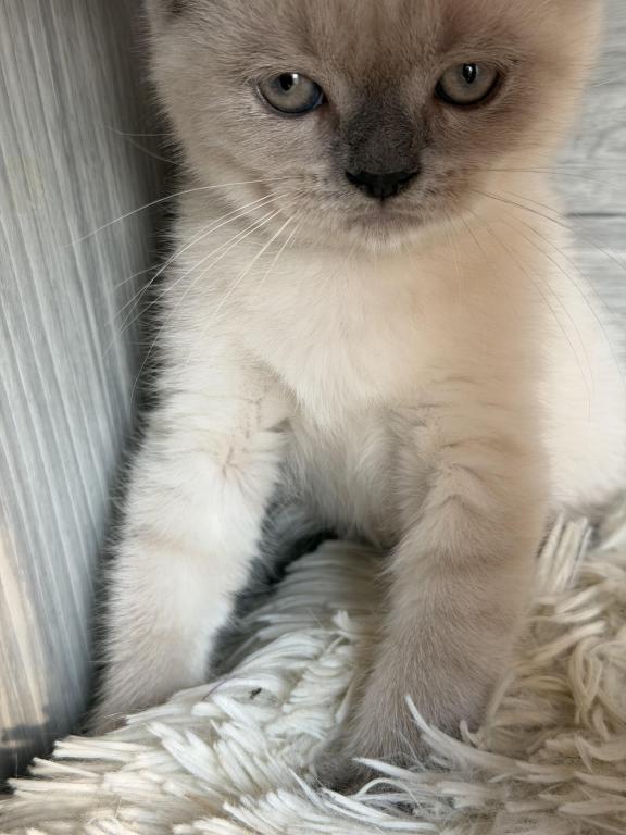Casper photo 6