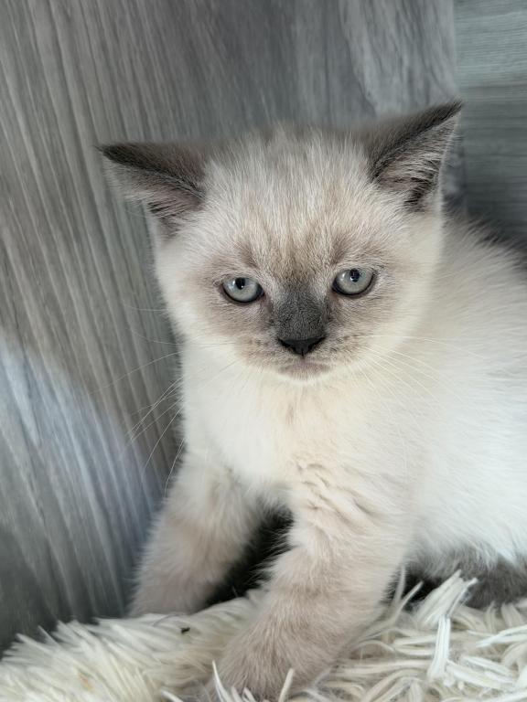 Casper photo 5