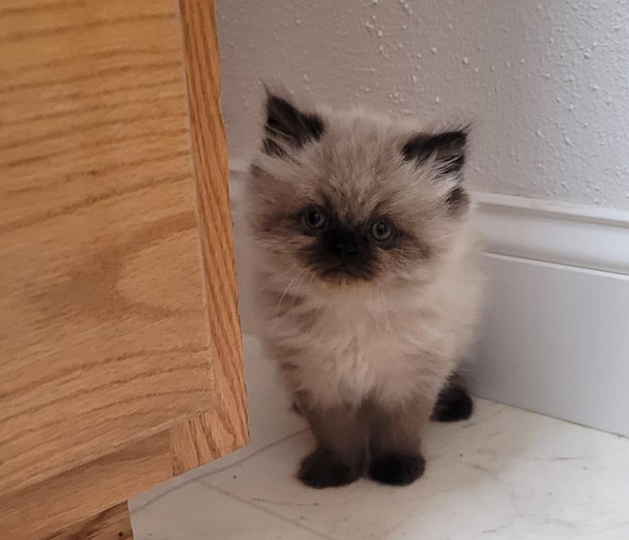 George