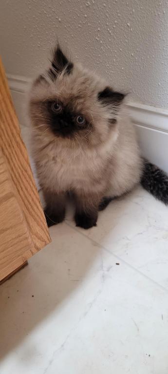 George photo 2