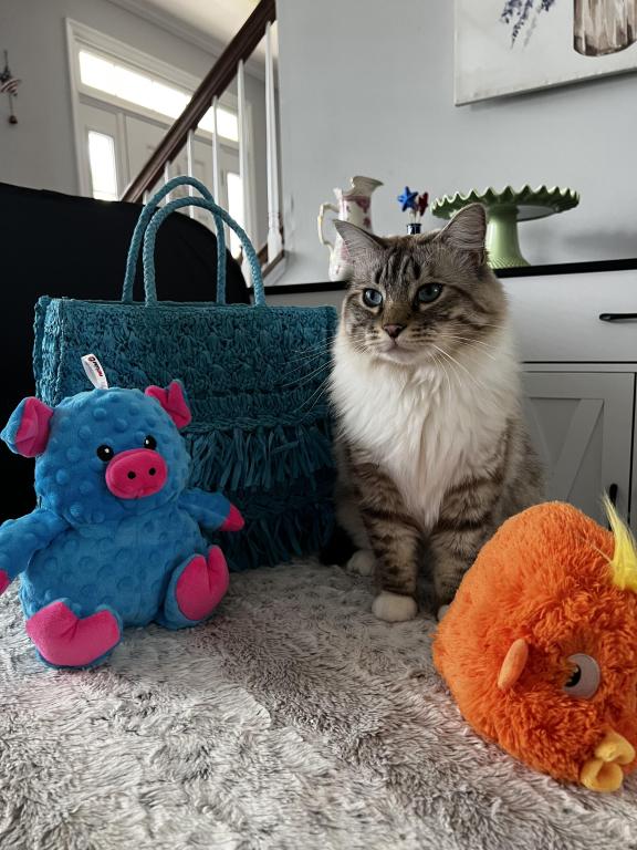 Leo Sale Pending