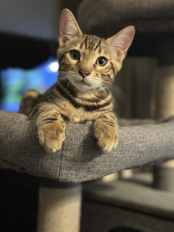 Mr Green photo 2