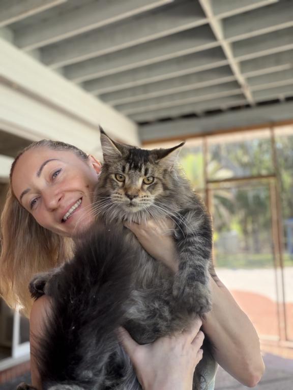 Adoption Cimba  The Polydactyl photo 1