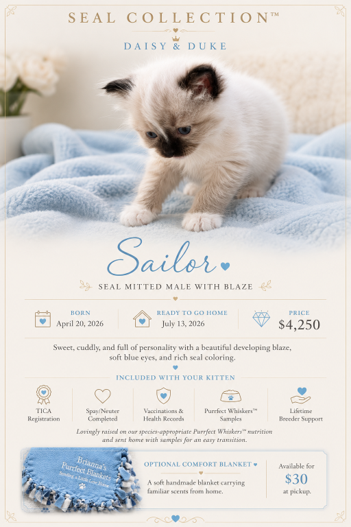 Sailor Seal Mitted Male With A Blaze photo 1
