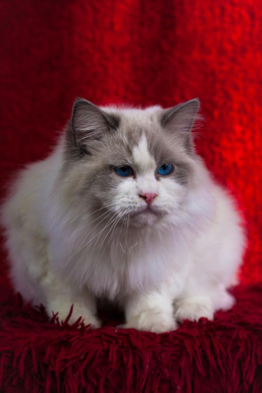 Winston From Ukraine photo 6