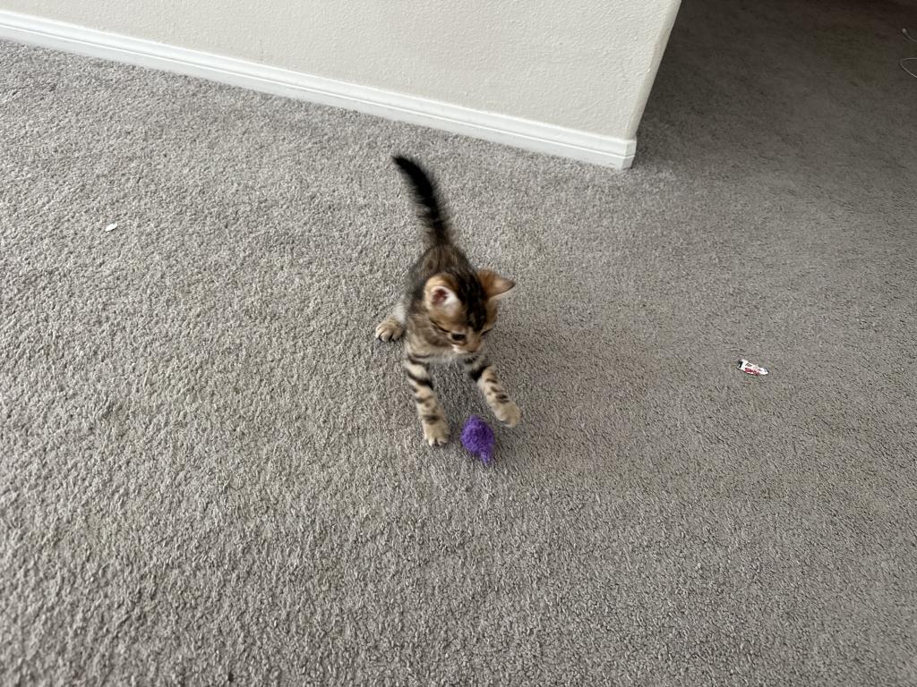 Lili photo 2