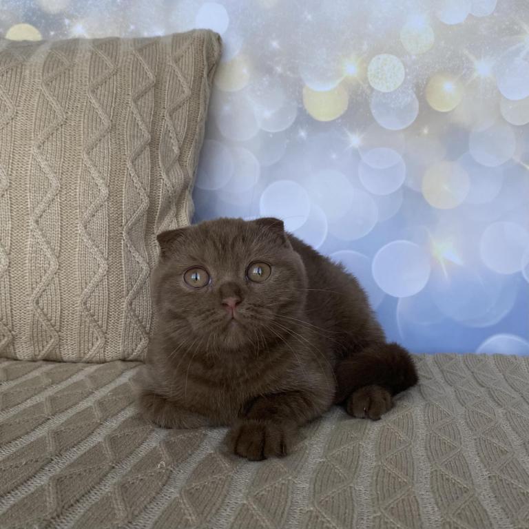 Mimi photo 2