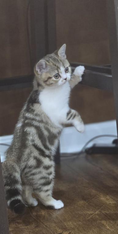 Cleo photo 6