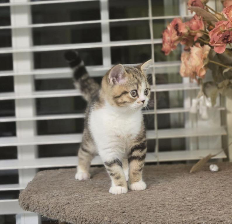 Cleo photo 7