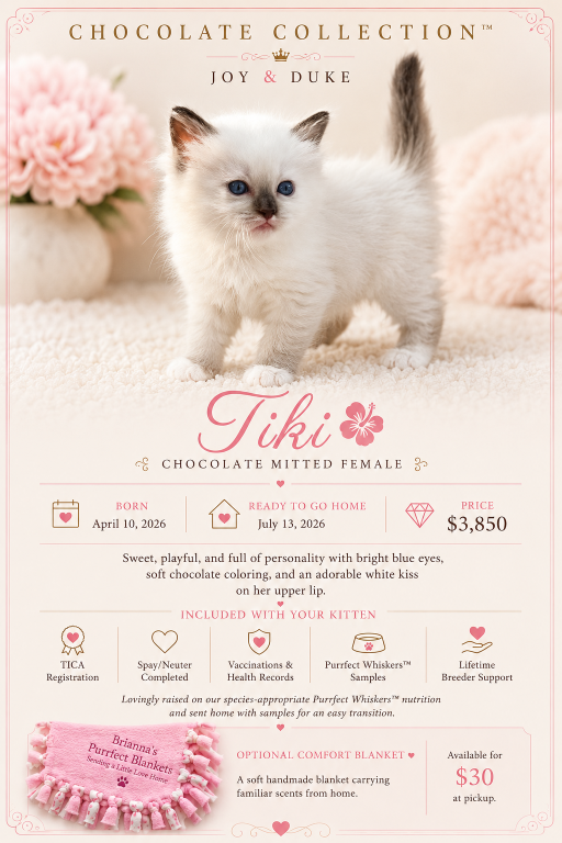 TIKI Chocolate Mitted Female