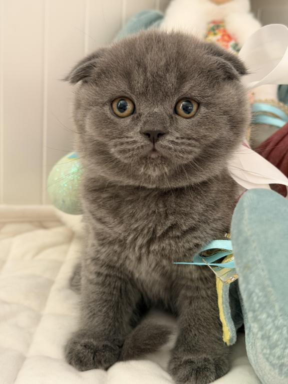 Linda photo 2