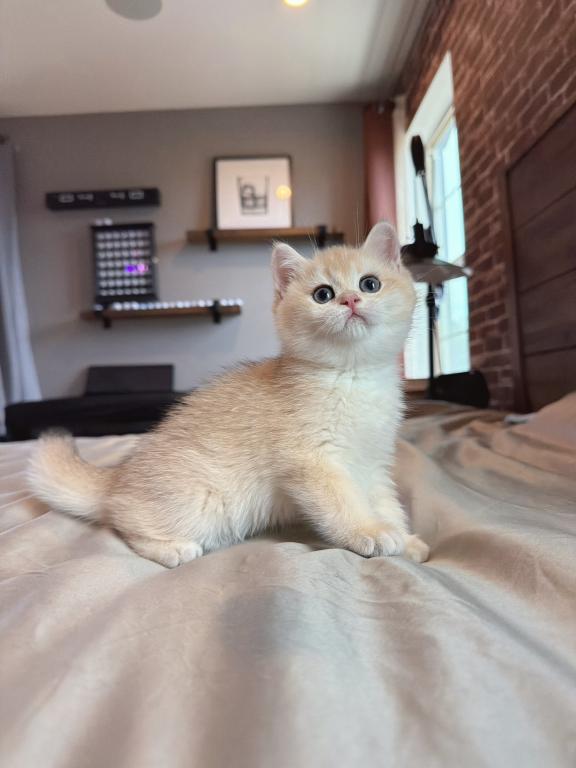 Gigi photo 1