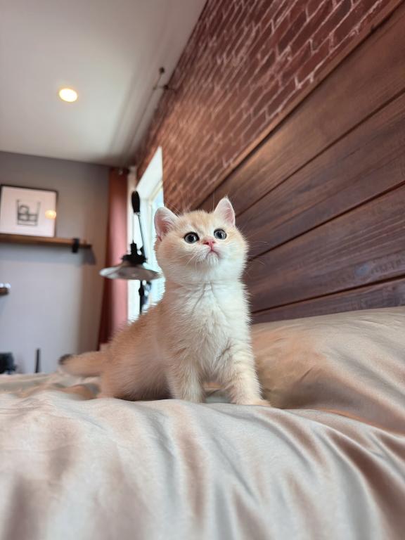 Gigi photo 5