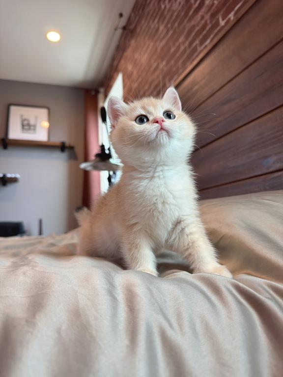 Gigi photo 4