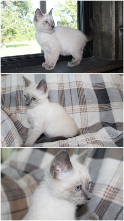 Precious photo 2