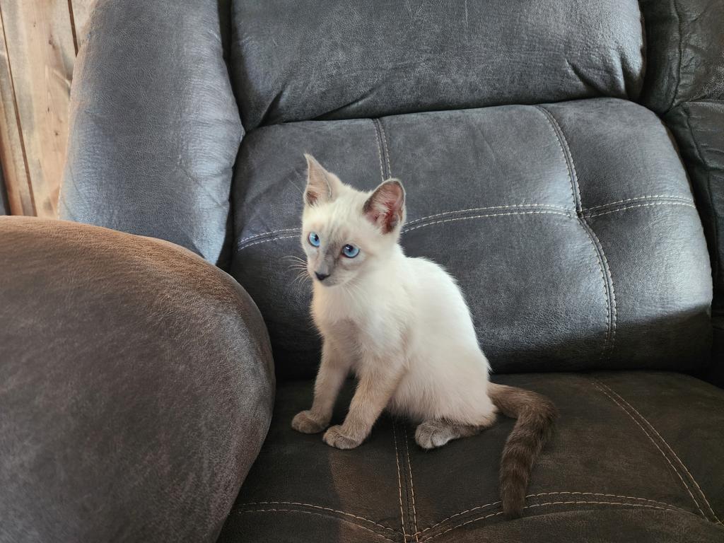 Precious photo 3