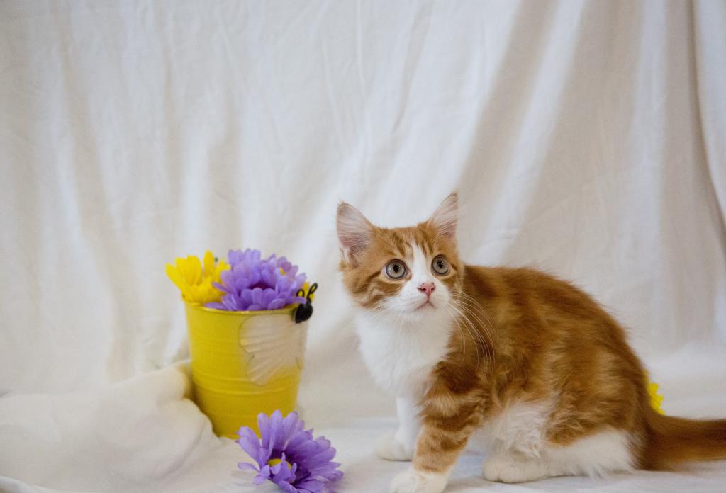 Jujube's Baby photo 3