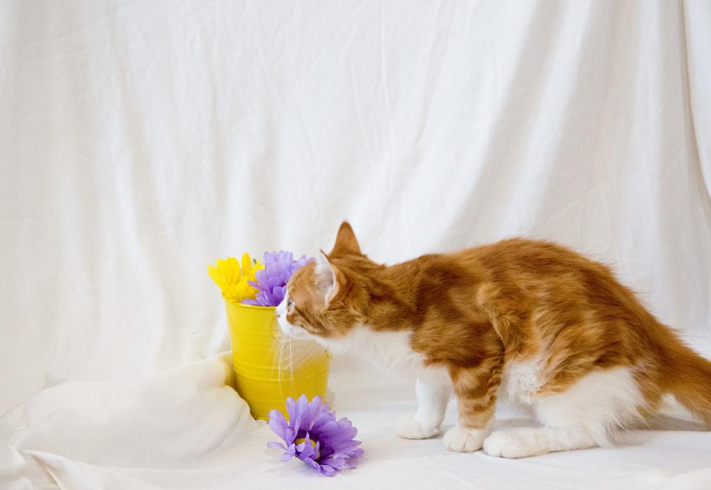 Jujube's Baby photo 2