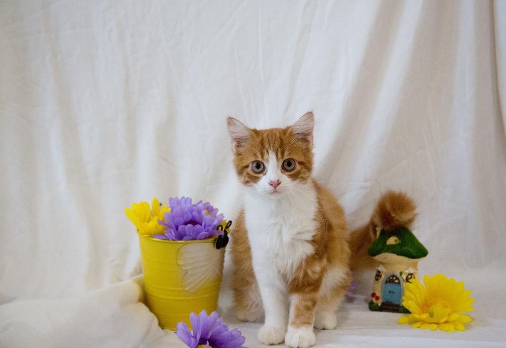 Jujube's Baby photo 4
