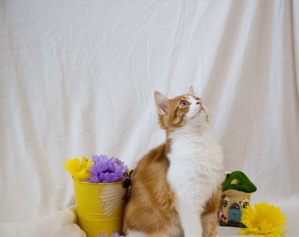 Jujube's Baby photo 5
