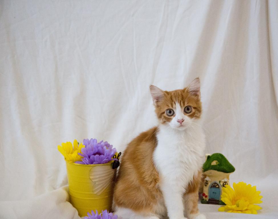 Jujube's Baby photo 6