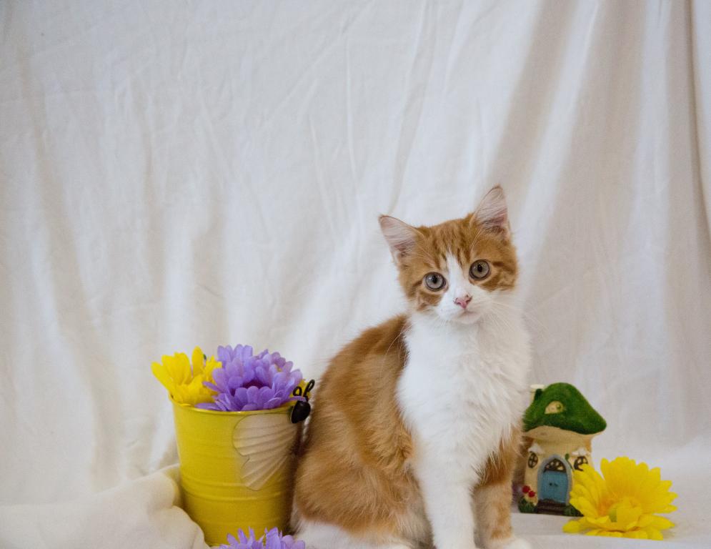 Jujube's Baby photo 1