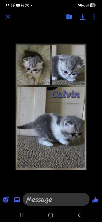 Calvin photo 5