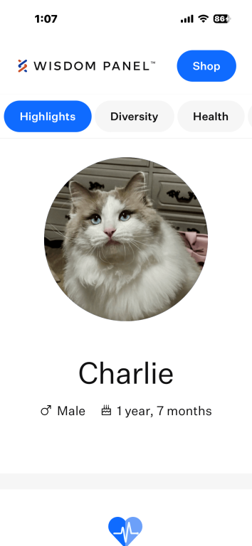GORGEOUS CHARLIE photo 2