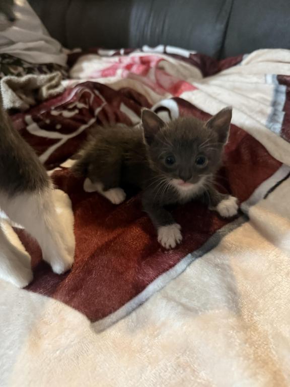 Newupdatedpicsofbabies photo 1