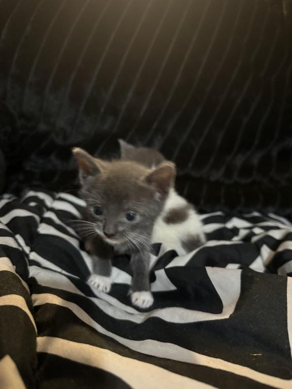 Newupdatedpicsofbabies photo 4