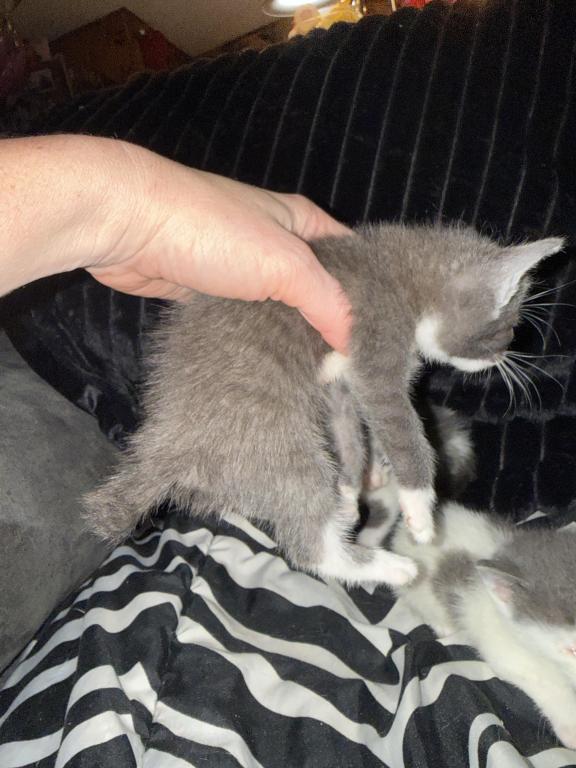 Newupdatedpicsofbabies photo 3