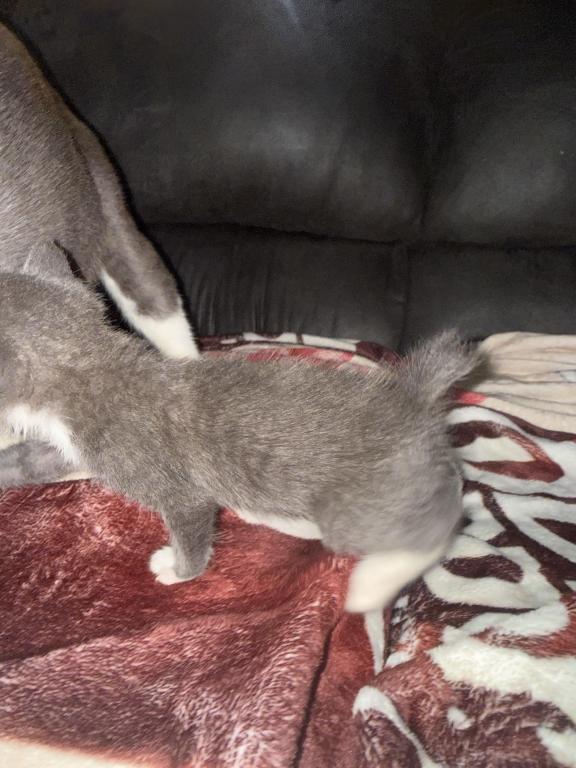 Newupdatedpicsofbabies photo 2