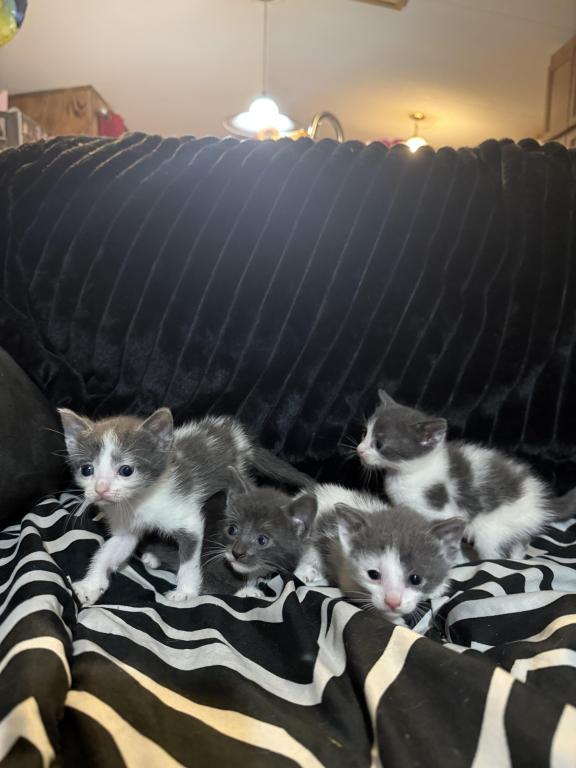 Newupdatedpicsofbabies photo 5