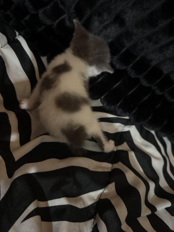 Newupdatedpicsofbabies photo 6